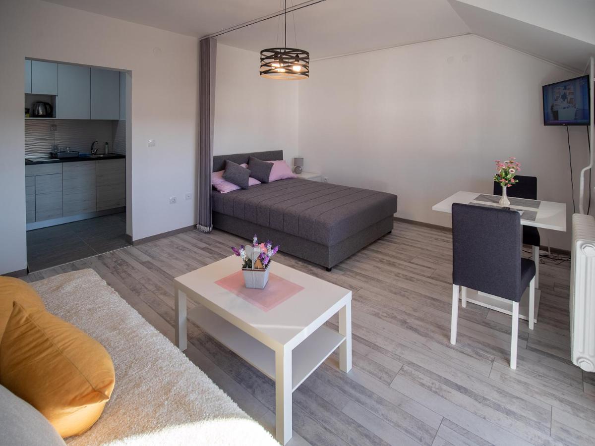 Apartman Sara Leilighet Novi Sad Eksteriør bilde